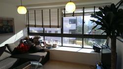 KIM YAM ROAD (D9), Condominium #68789422